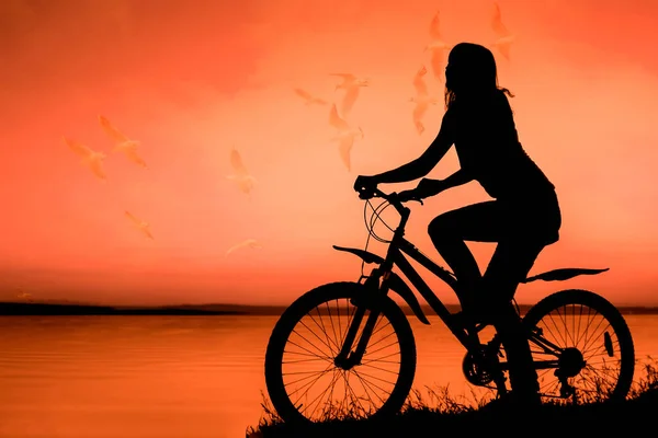 Silueta Mujer Montada Bicicleta Fondo Marino Atardecer Gaviota Volando Cielo — Foto de Stock