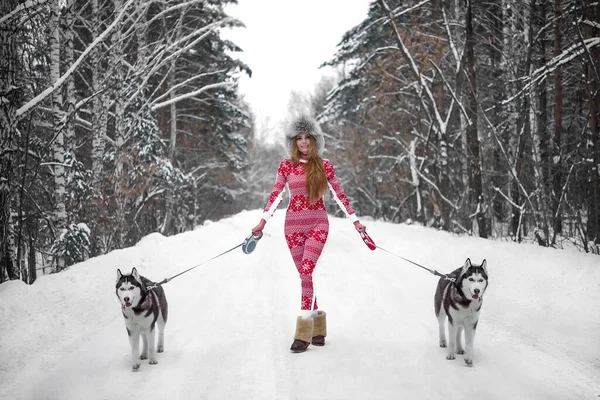 Kobieta Spacerująca Zimowym Lesie Parą Husky Psów Sezon Zimowy Dziewczynka — Zdjęcie stockowe