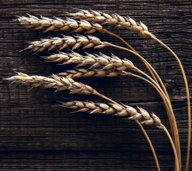 Tahta Masadaki Buğday Kulakları. Ahşap zemin üzerinde buğday yaprağı. Hasat konsepti