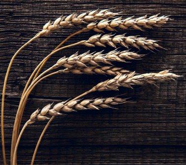 Tahta Masadaki Buğday Kulakları. Ahşap zemin üzerinde buğday yaprağı. Hasat konsepti