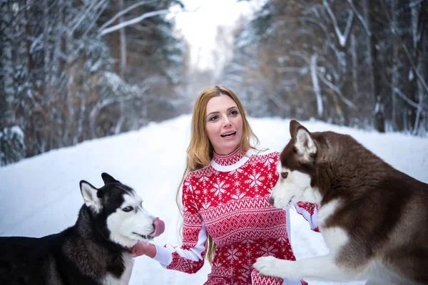 Rapariga Com Dois Cães Floresta Inverno Husky — Fotografia de Stock