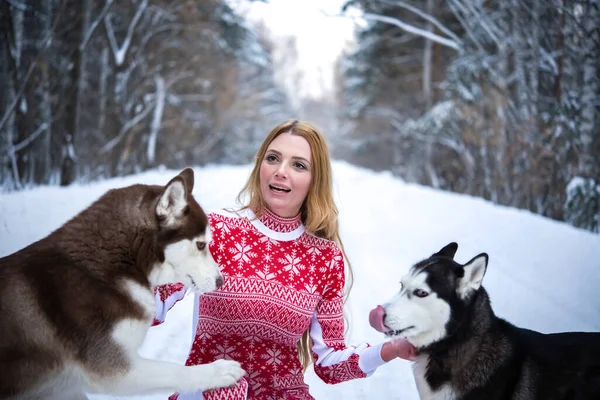 Rapariga Com Dois Cães Floresta Inverno Husky — Fotografia de Stock