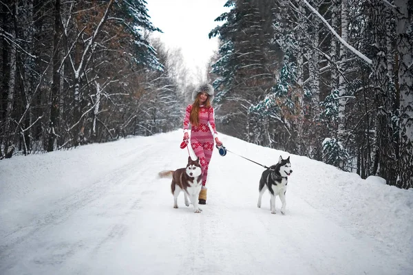 Mulher Andando Floresta Inverno Com Par Cães Husky Temporada Inverno — Fotografia de Stock