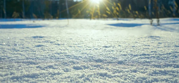 Зимовий Пейзаж Снігова Природа Сніг Вкрив Ліс Різдвяна Погода — стокове фото
