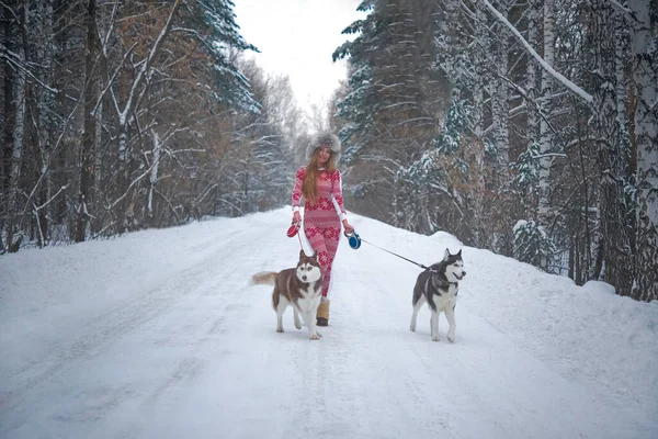 Γυναίκα Που Περπατά Στο Δάσος Χειμώνα Δύο Σκυλιά Husky Χειμερινή — Φωτογραφία Αρχείου