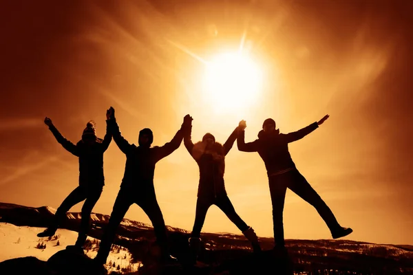 朋友们手牵着手 在山腰上玩乐 一个由年轻人组成的团队在户外过冬 手举起来阳光灿烂的冬日 — 图库照片