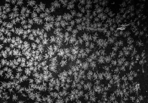 Givre Sur Verre Scène Nuit — Photo