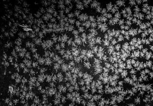 Givre Sur Verre Scène Nuit — Photo