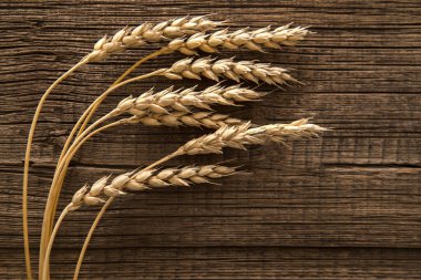 Tahta Masadaki Buğday Kulakları. Ahşap zemin üzerinde buğday yaprağı. Hasat konsepti