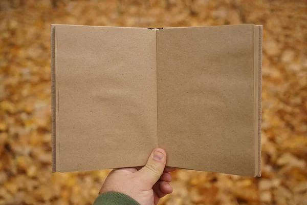 Mannelijke Hand Met Open Boek Herfst Park Achtergrond Ambachtelijk Papier — Stockfoto