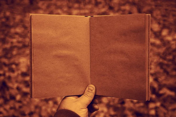 Mano Masculina Sosteniendo Libro Abierto Sobre Fondo Del Parque Otoño — Foto de Stock