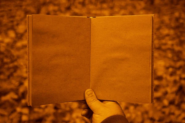 Mężczyzna Trzyma Otwartą Książkę Tle Jesiennego Parku Papier Ręczny — Zdjęcie stockowe