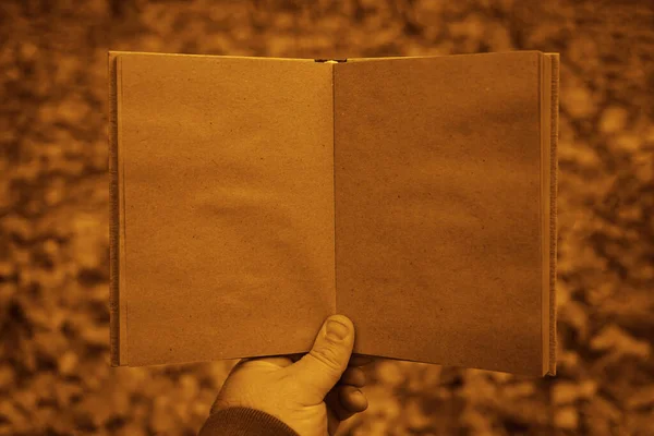 Mão Masculina Segurando Livro Aberto Fundo Parque Outono Papel Artesanal — Fotografia de Stock