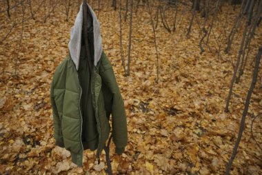 Ağaçta asılı yeşil ceket. Sonbahar mevsimi.