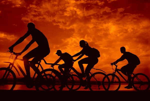 Leerer Raum Sportliche Freunde Auf Fahrrädern Bei Sonnenuntergang Radfahrer Die — Stockfoto