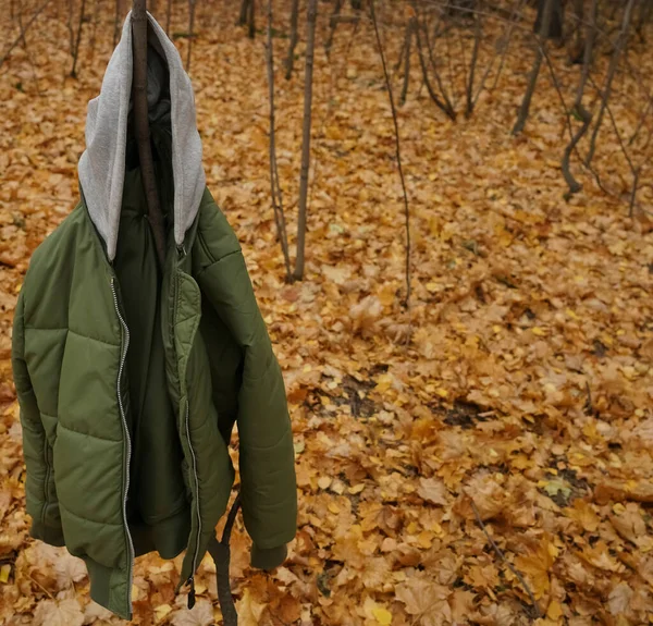 Grüne Jacke Die Baum Hängt Herbstzeit — Stockfoto