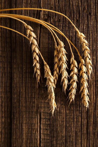木桌上的麦穗 一捆麦子盖在木头背景上 收获概念 — 图库照片