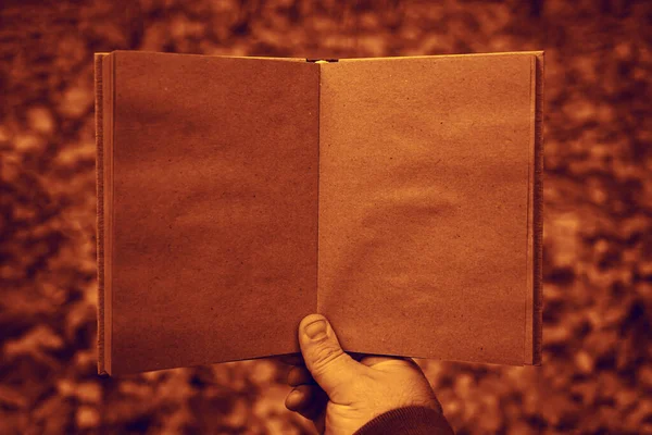 Erkek Eli Sonbahar Parkının Arka Planında Açık Bir Kitap Tutuyor — Stok fotoğraf