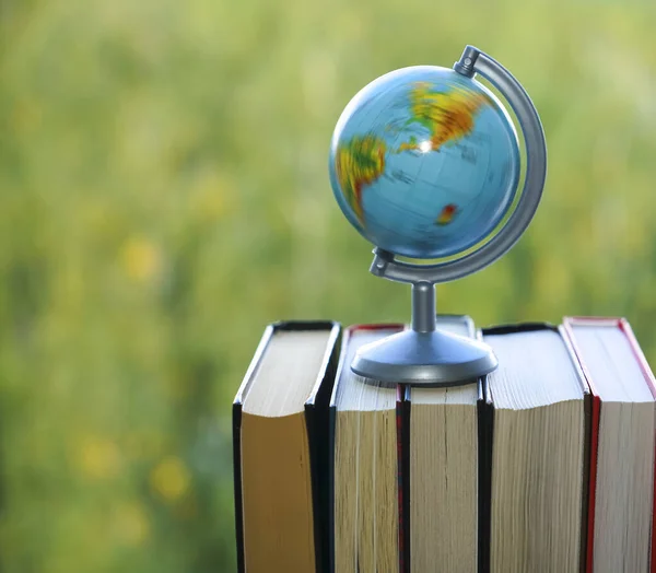 Глобус Зеленому Фоні Лісу Наука Освіта Досвід Подорожей Стопка Книг — стокове фото