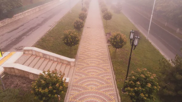 The royal path in fog. View from above