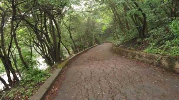 Persönliche Perspektive des Wanderns auf einem Pfad im Wald. — Stockvideo