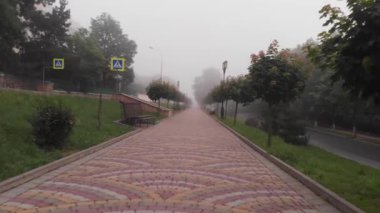 Parkta bir yolda yürüyen kişisel bakış açısı.