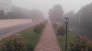 Sisli bir parkta bir yol üzerinde uçuş.
