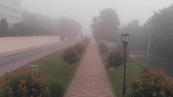 Sisli Bir Parkta Bir Yol Üzerinde Uçuş — Stok video