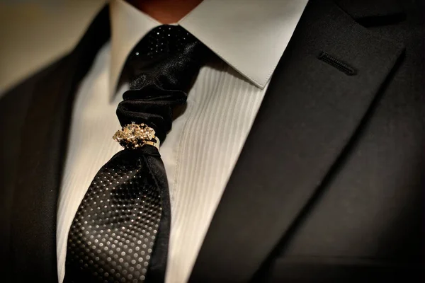 Un traje caro. Clásicamente corbata y clip de lujo —  Fotos de Stock