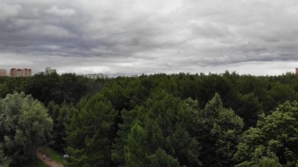 街の景色を望む森の中心から登るドローン — ストック動画