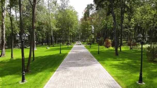 Persoonlijk perspectief van het lopen op een wandelpad in het bos — Stockvideo