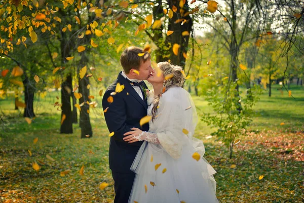 Een kus van een pas getrouwd stel in een herfstpark — Stockfoto