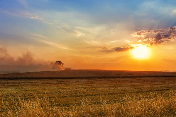 Modern harvest scene, combine harvester raising dust going on la