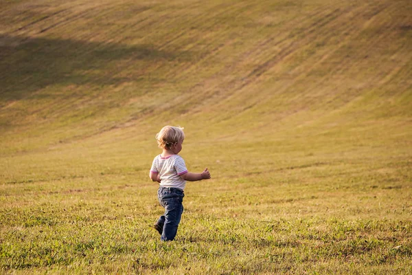 Kind, kleines Mädchen, Kleinkind, das allein auf einer großen Wiese in — Stockfoto