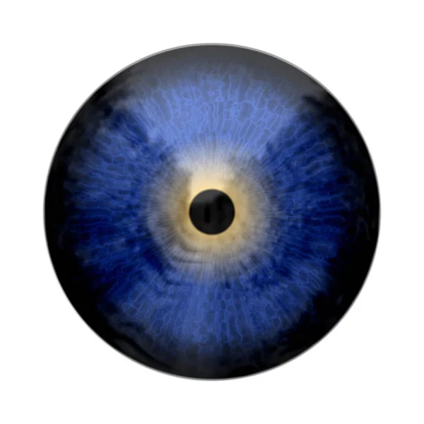 Eye, abstract digitally generated illustration — Stock Photo, Image