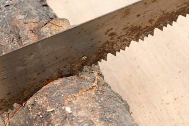 Eski testerenin detayı, testere ahşap kütük, gövde. Doğal kavramı 