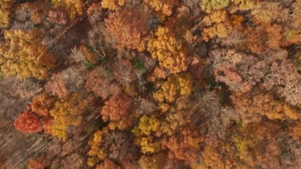 Drone fly át a Mount Hope Historical Park, Nj — Stock videók