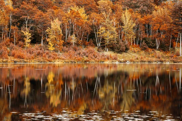 Reflexão de folhagem de queda em Jordan Pond, Maine — Fotografia de Stock