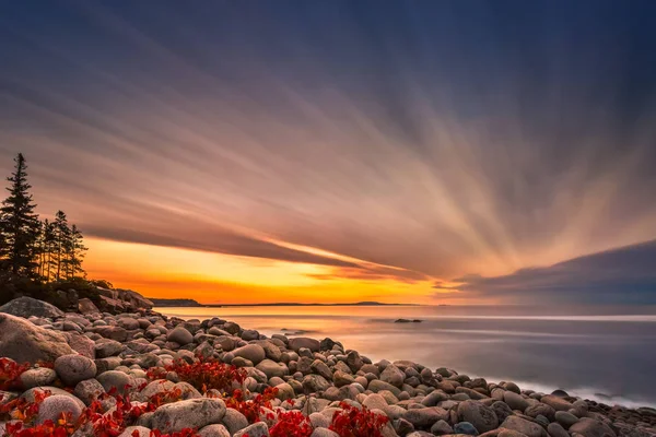 Boulder Beach Acadia Milli Parkı'nda — Stok fotoğraf