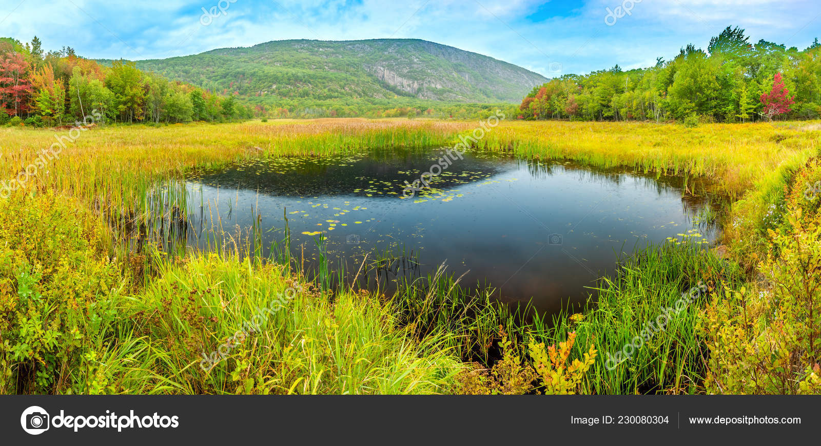 Beaver Dam Pond In Acadia National Park Stock Photo By C Mandritoiu