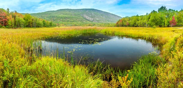 Lagoa de Barragem de Castor no Parque Nacional de Acadia — Fotografia de Stock