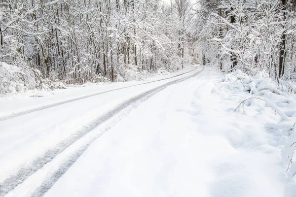 被雪覆盖的蜿蜒森林道路 — 图库照片
