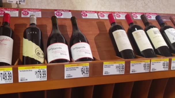 Estante con una selección de botellas de vino caras — Vídeos de Stock