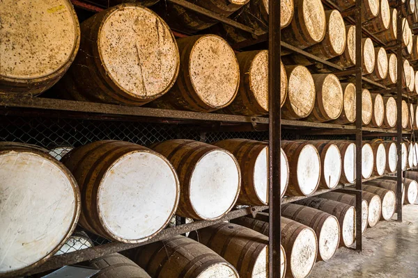 Prateleiras com barris de rum de carvalho — Fotografia de Stock