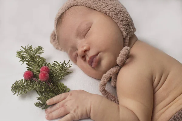 Bebé recién nacido dormido en un sombrero divertido sostiene una ramita de abeto —  Fotos de Stock