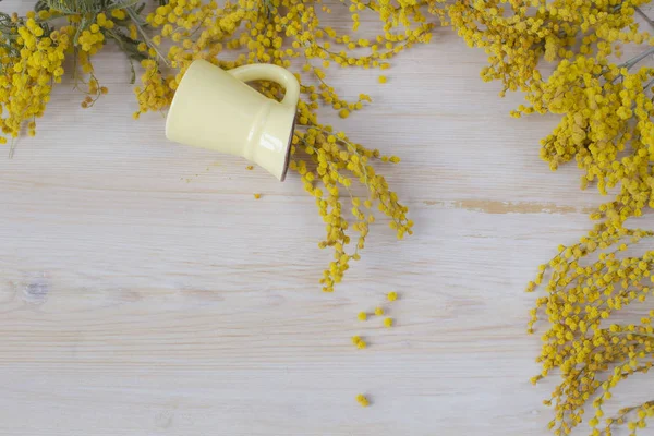 Spring mimosa flowers on table. Beautiful background