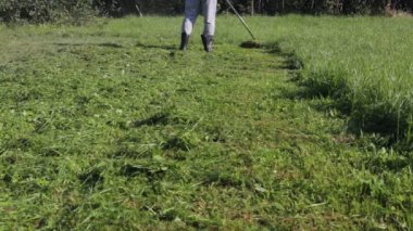 Çim adam Çizmeli mows
