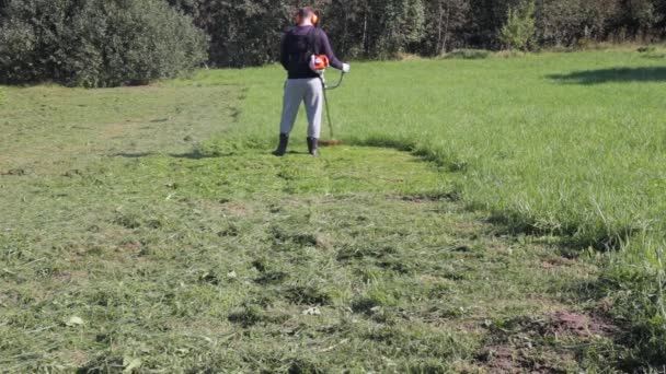 Homem corta a grama — Vídeo de Stock