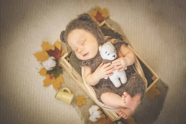 Retrato Niño Recién Nacido Durmiendo Vestido Como Oso Con Juguete —  Fotos de Stock