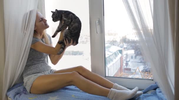 Девушка играет с британским котом — стоковое видео
